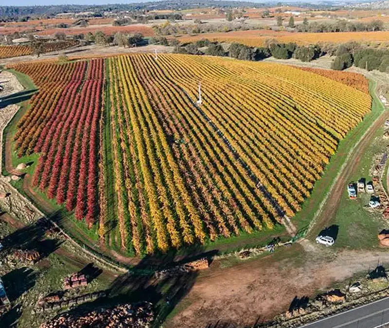 Supporting Public Safety, Community Health, and Responsible Solutions