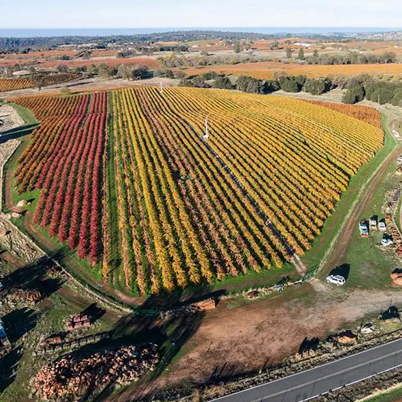 Supporting Public Safety, Community Health, and Responsible Solutions